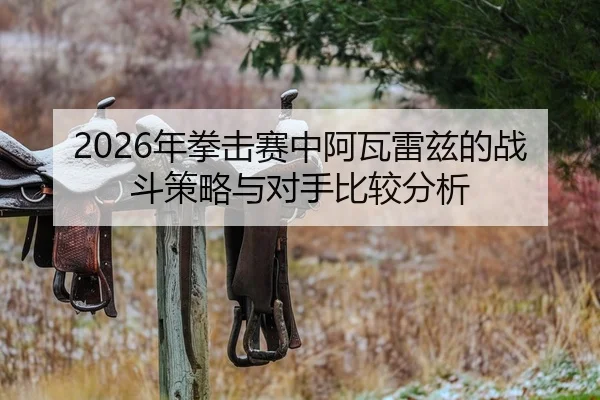 2026年拳击赛中阿瓦雷兹的战斗策略与对手比较分析