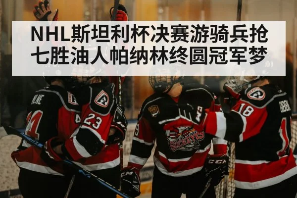NHL斯坦利杯决赛游骑兵抢七胜油人帕纳林终圆冠军梦